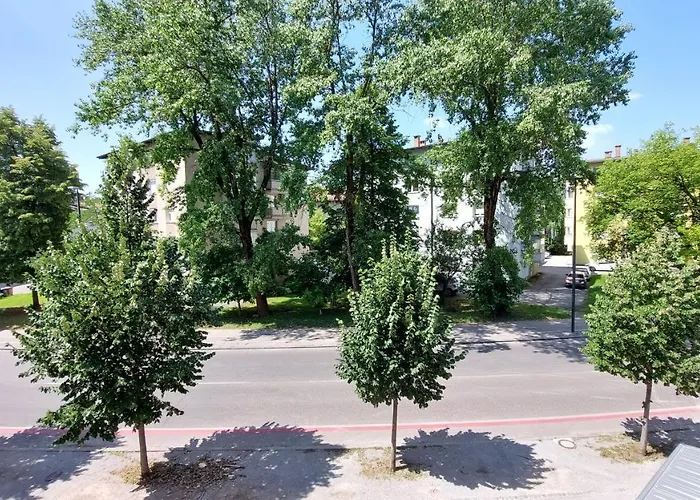 Cozy, Bright And Affordable W/ Free Parking شقة